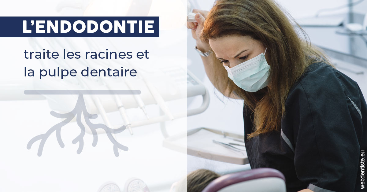 https://dr-aouizerat-david.chirurgiens-dentistes.fr/L'endodontie 1