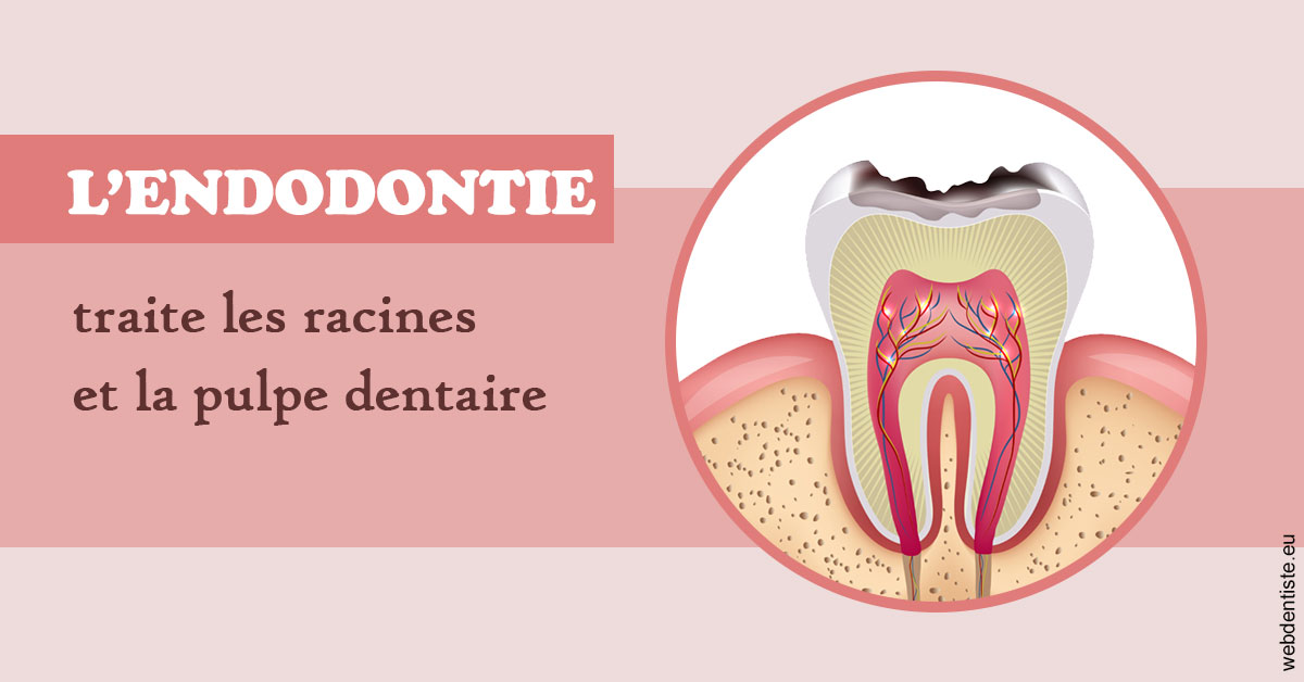 https://dr-aouizerat-david.chirurgiens-dentistes.fr/L'endodontie 2