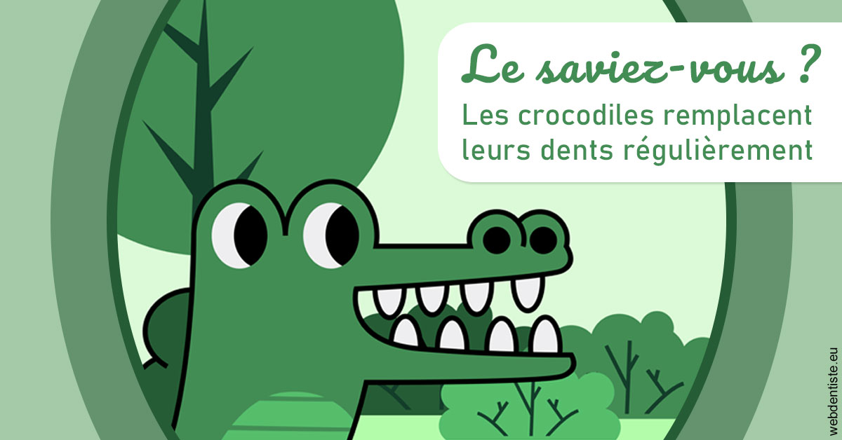 https://dr-aouizerat-david.chirurgiens-dentistes.fr/Crocodiles 2